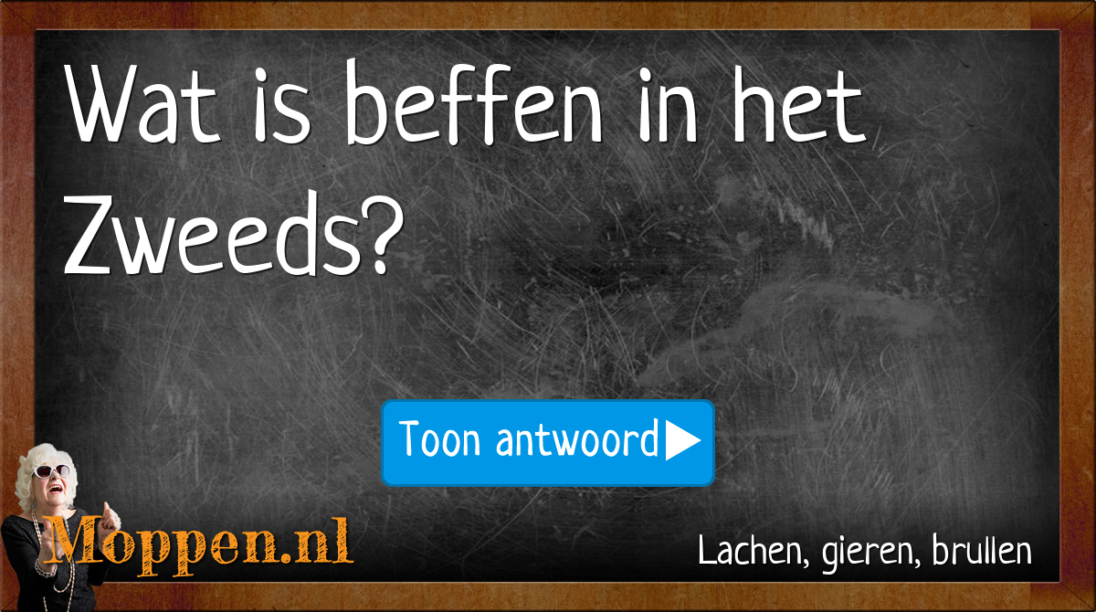 moppen-nl-mop-zweedse-les