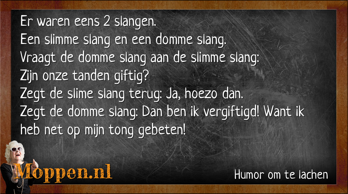 Moppen.nl - Mop: De slimme en de domme slang